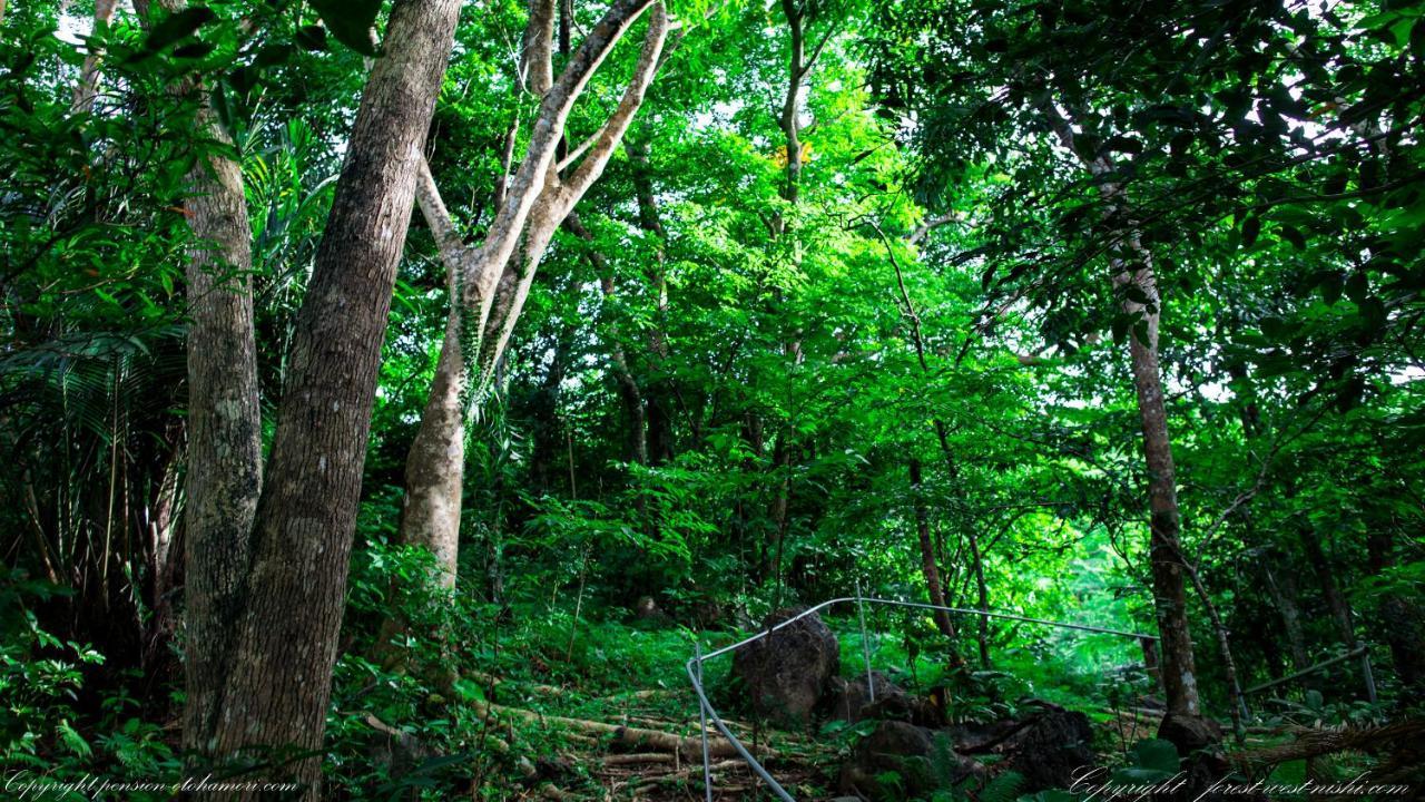 Forest West Nishi Nakijin Exterior photo
